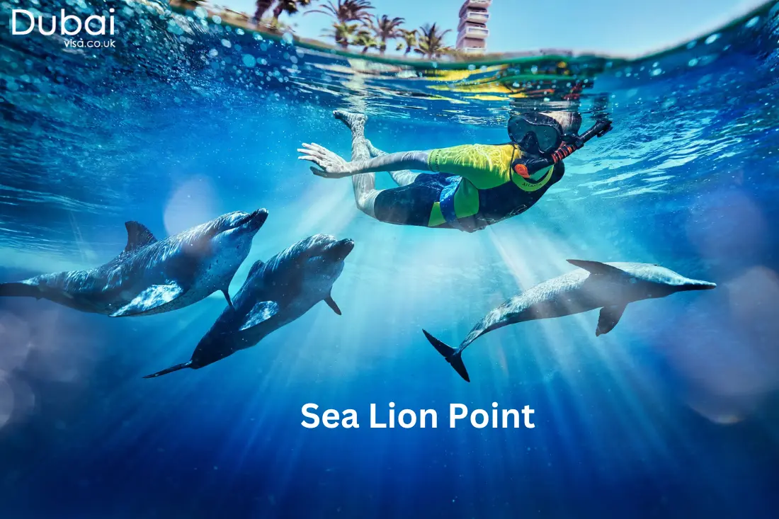 Sea Lion Point at atlantis water park dubai